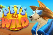Pets go Wild