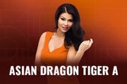 Asian Dragon Tiger A
