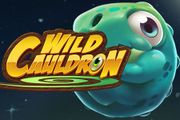 Wild Cauldron