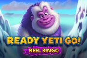 Ready Yeti Go + Reel Bingo
