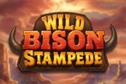 Wild Bison Stampede
