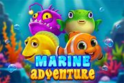 Marine Adventure