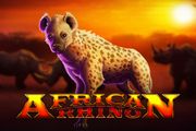 African Rhino