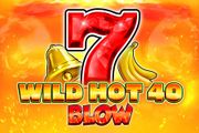 Wild Hot 40 Blow