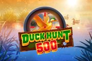 Duck Hunt 500
