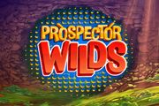 Prospector Wilds