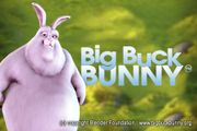 Big Buck Bunny