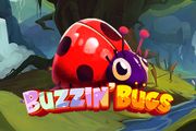 Buzzin' Bugs