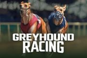 Greyhound Racing