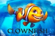 Clownfish