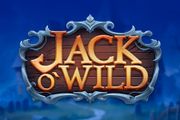 Jack O'Wild