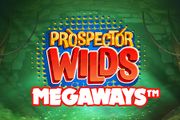 Prospector Wilds Megaways