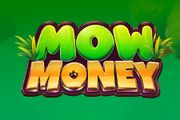 MOW MONEY
