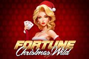 Fortune Christmas Wild