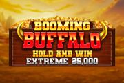 Booming Buffalo Hold and Win Extreme 25,000