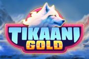Tikaani Gold