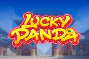 Lucky Panda
