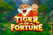 Tiger of Fortune